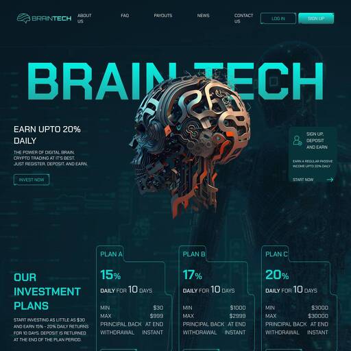 braintech.digital