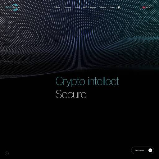cryptointellect.top